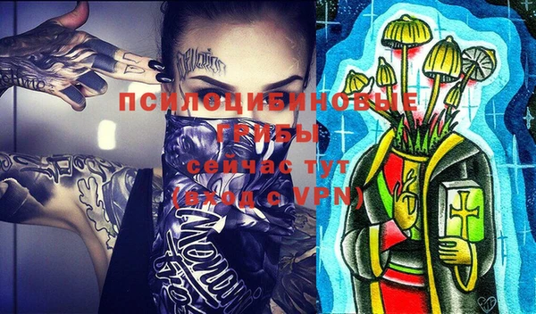 хмурый Верея