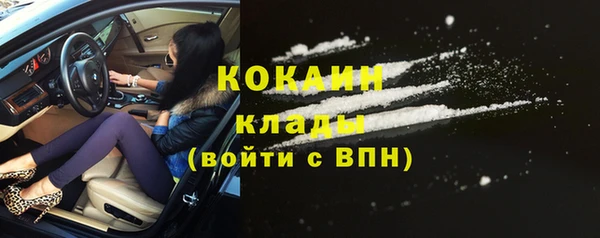 бошки Богданович