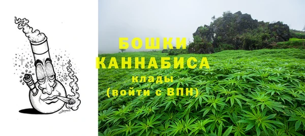 хмурый Верея