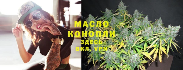 хмурый Верея