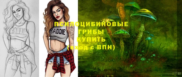 амф Богородицк