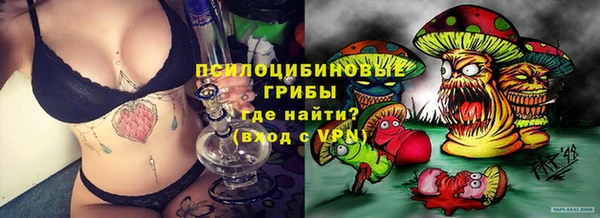 бошки Богданович