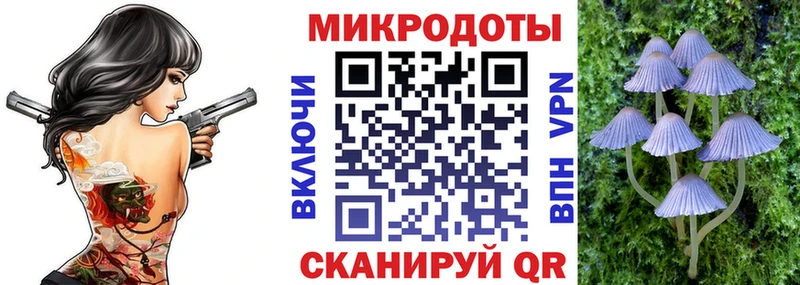 Галлюциногенные грибы мухоморы  гидра вход  Старица 